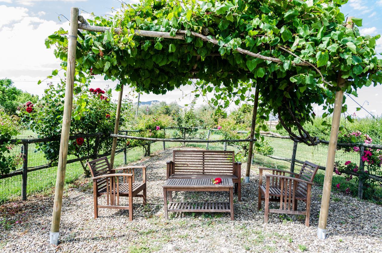 Agriturismo Il Roseto Marina di Grosseto Eksteriør bilde